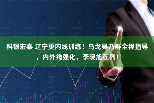科银宏泰 辽宁更内线训练！乌戈吴乃群全程指导，内外线强化，李晓旭在列！